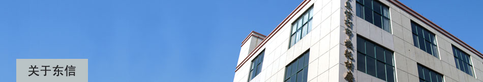 ���ڶ���